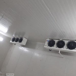 [Hot Item] Top Selling Factory Prcie Cooling System Cold Room Walk in Freezer with Condensing Unit