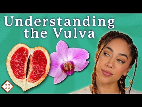 The Vulva & Vagina Explained: Sex Ed #2
