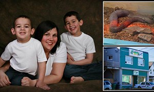 Revealed: 16ft python that strangled sleeping brothers, 4 and 6, 'was illegally kept' as heartbroken family describes boys' final happy hours before tragedy