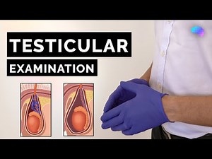 Testicular Examination - OSCE Guide | UKMLA | CPSA | PLAB 2