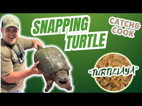 Snapping Turtle Catch and Cook Turtlelaya