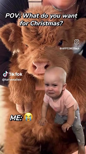 I keep asking and he keeps telling me no 😭 😂