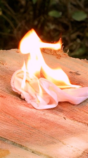 Best techniques to remove tree stump | DeMilked