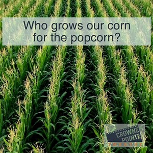 42 reactions · 27 shares | Who grows our corn for the popcorn at CPT? Llike and share for a chance to win movies passes! | Crowne Pointe Theatre | Facebook