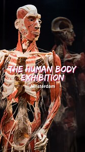 18 reactions | Discover the human body like never before at BODY...