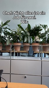 Challenge accepted. | innocent