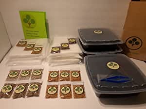 Kit 9 Week Supply Indoor Container Gardening Microgreens