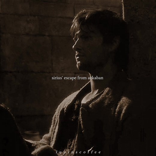 Sirius Black Escapes Azkaban in Animagus Form