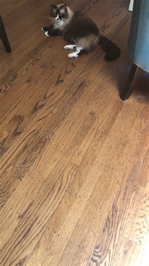 Gretchen Menn on Reels