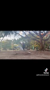 You can make progress or you can make excuses. You can’t do both 💪🏾! I made progress 💪🏾❤️. I took time off my regular programming of never give up, to different never give up last week. I am reminded myself who I am and what I am capable of doing despite being disabled. No fucking excuses 💪🏾🙏🏾🧘🏾‍♂️✌🏾! https://linktr.ee/Brandonmacon #Grateful #TheReBrandon #SelfCare #NeverGiveUp #SelfLove #MaconHealthThePriority #MaconMemories #MaconMyDreamsComeTrue #LifeThriver #StrokeSurvivor #MaconI