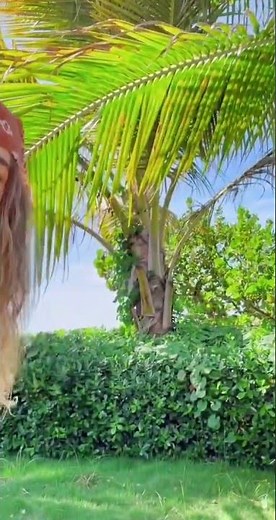 Ultimate Bikini Dance Compilation: Watch These Girls WOW You with Epic Moves!