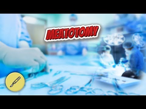 Meatotomy - Everything Surgeries ✅😬⁉️