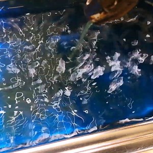 9.7K views | Clean O2 sensor with ultrasound #oxygensensor #ultrasound #reels #o2sensor #techtips #techtips #automotive credit: DIYAutoworksNG | Loyal Parts | Facebook