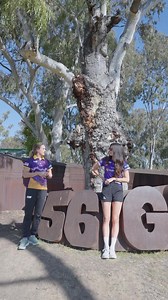 We 🫶🏼 Goondiwindi | Queensland Firebirds