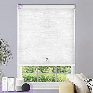 Motorized Roller Shades for Windows - Astomi 100% Blackout Blinds for Room Darkening, Smart Cordless Blinds with Remote, Voice Control, Work with Alexa, Google, Custom Size for Various Rooms (101)