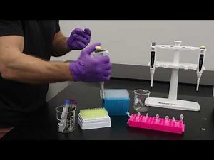 Bradford Assay Sample Preparation