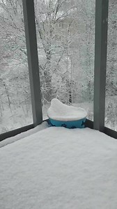 Snow 🌨❄ | Alymew