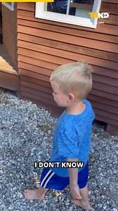 Watch this lizard room tour! | TRND