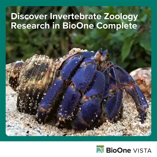 We're delighted to welcome Invertebrate Biology from the American Microscopical Society to BioOne Complete for 2025! To celebrate, we've curated a special collection of recent articles that showcase the fascinating world of invertebrate zoology. Discover research highlighting the incredible diversity and ecological importance of these amazing organisms. Explore the collection today: https://bit.ly/42bkexB | BioOne