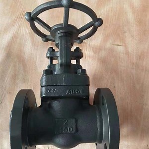 [Hot Item] OS&Y Class 800 API 598 602 Forged Steel NPT/Sw A105 Butt Weld Gate Valve