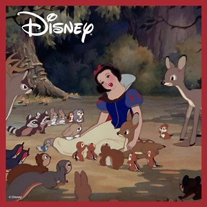 32 reactions | We know you have your own Disney collection  so why don't you catch up on some classics this weekend? | Disney | Facebook