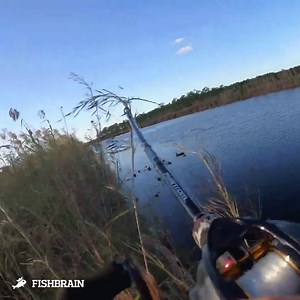 Fishbrain on Reels