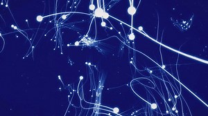 Unity3D Experiment - Boids