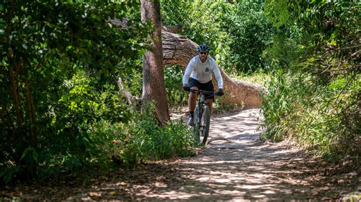 Embrace Austin's spring: The ultimate local guide on hiking, swimming and outdoor fun