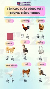 Tên các loại động vật tiếng Trung #tiengtrung21ngay #tiengtrung #hoctiengtrung #hanuy #tuvungtiengtrung #trungquoc #chuhan #汉语学习 #汉语 #xuexihanyu | Tiếng Trung 21 Ngày