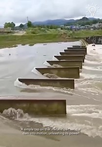 The mastery of dam construction! | 𝐕𝐚𝐧𝐧𝐢 𝐀𝐝𝐬