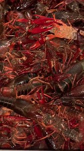 2.8K views · 96 reactions | Shooters Grill on Reels | Facebook