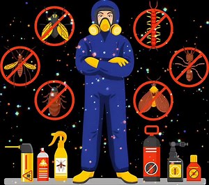 RAWANG PEST CONTROL SERVICE 🪳🦟 🗡️ Pest control service below, feel free to contact our support team at Empire Pest Control via phone, email or WhatsApp. Termite Control Ant Control Mosquito Control Bed Bug Control Fly Control Spider Control Rat Control Contact number 01116345648 0166873812 | T.L.M Pest Control