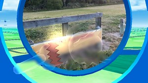 How to catch Kecleon in Pokémon Go