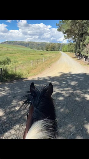 A summer redo of Pretty Girls 😆😆 | That Dickhead Harley