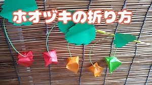 ★【おりがみ】ホオズキの折り方 – 雀の工作 / craft & DIY