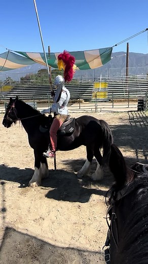 Bob's First Jousting Experience: Learning the Ropes