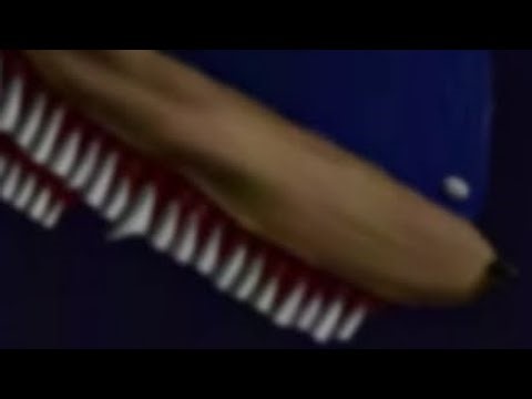 shin sonic test [dc2]