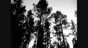 My dying bride - For my fallen angel