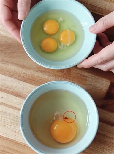 Filaments blancs et taches rouges dans l'œuf : qu'est-ce que c'est et devriez-vous vous en inquiéter ? Peut-on manger ces œufs ? 🤔 Détails dans les commentaires. ⬇️⬇️⬇️ | La maison de tes rêves