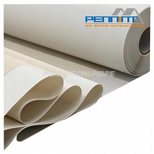 [Hot Item] HDPE Pre-Applied Waterproofing Membrane 1.2-2mm for Building Basements