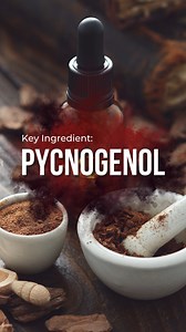 🌿 Meet Pycnogenol: The world’s antioxidant powerhouse! Discover how this key ingredient supports your wellness journey. #health #healthylifestyle #wellness #supplements #healthyliving | Nutrametrix