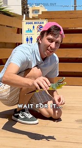 Epic prank! That croc looked so real 🐊🤣 | One More