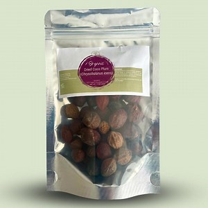 Dried Cocoplums | Chrysobalanus Icaco | Umilo - Etsy Canada