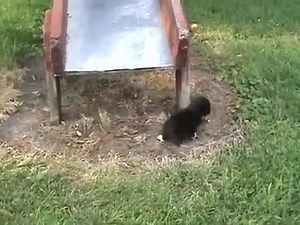 7.9K views · 314 reactions | :D | La pensée positive | Facebook