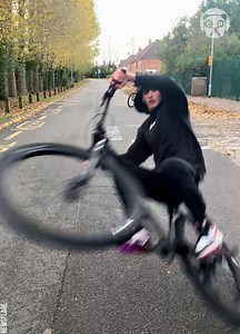 Epic fails compilation | Genius Panda | Facebook