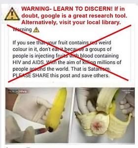 Discernment and AIDS Infected "Bloody" Bananas: Busting Myths