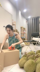 Nhà hong có gì ngoài sầu riêng 😁😁😁 | Chibi Market