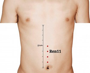 Ren11 (Jianli) - Saludymedicinachina.com