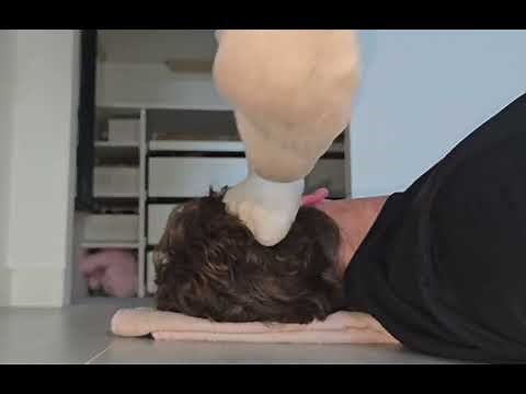 Head trample in dirty nike socks