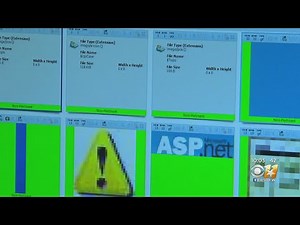 Over 50 suspected predators arrested, 28 children rescued in porn & online solicitation sting